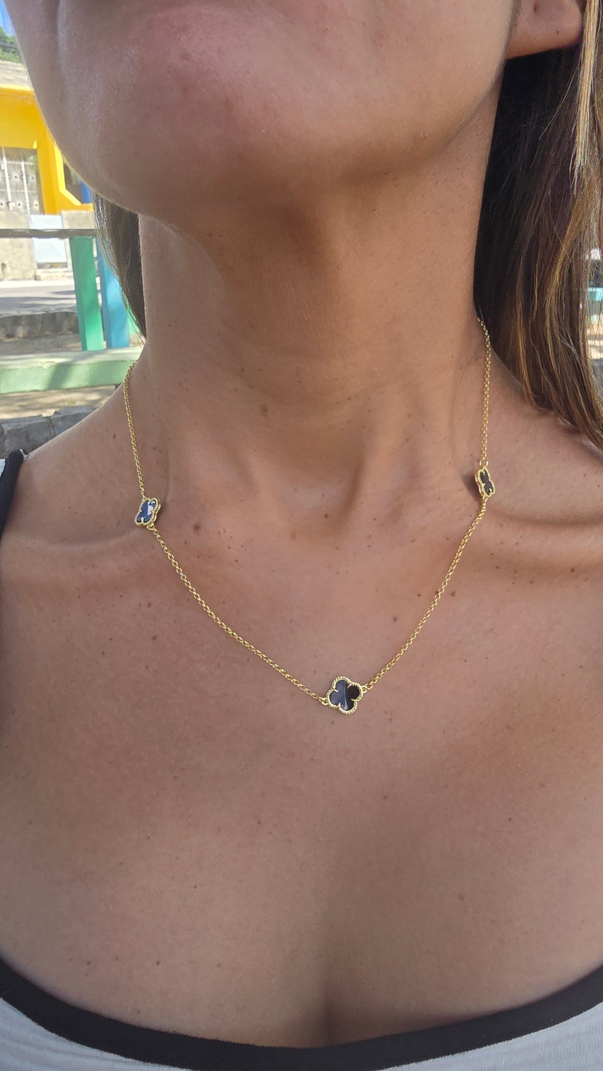 Colar Trevo Preto Banhado a Ouro 18k