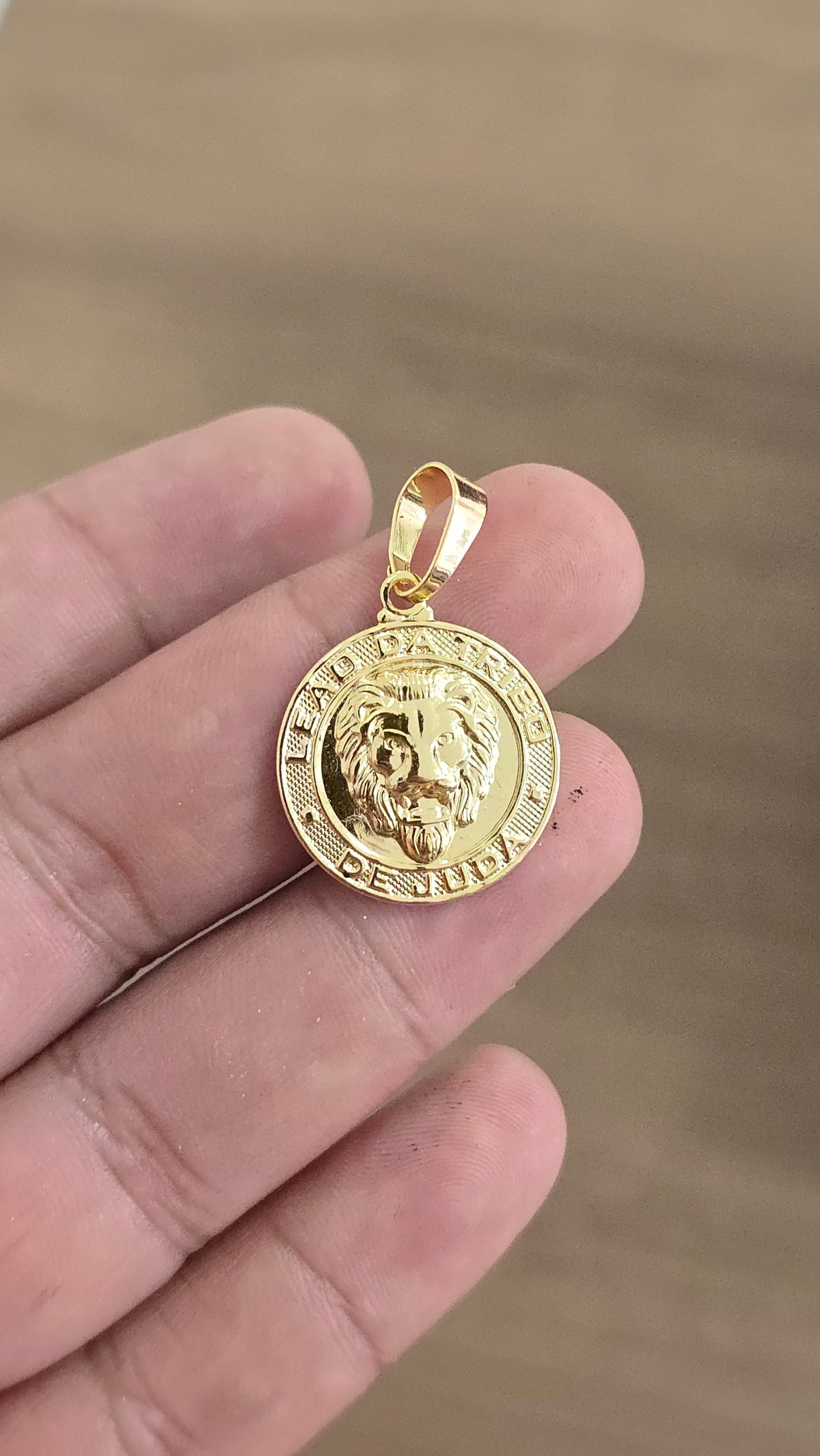 Pingente Nossa Leão Tribo de Judá Banhado a Ouro 18k